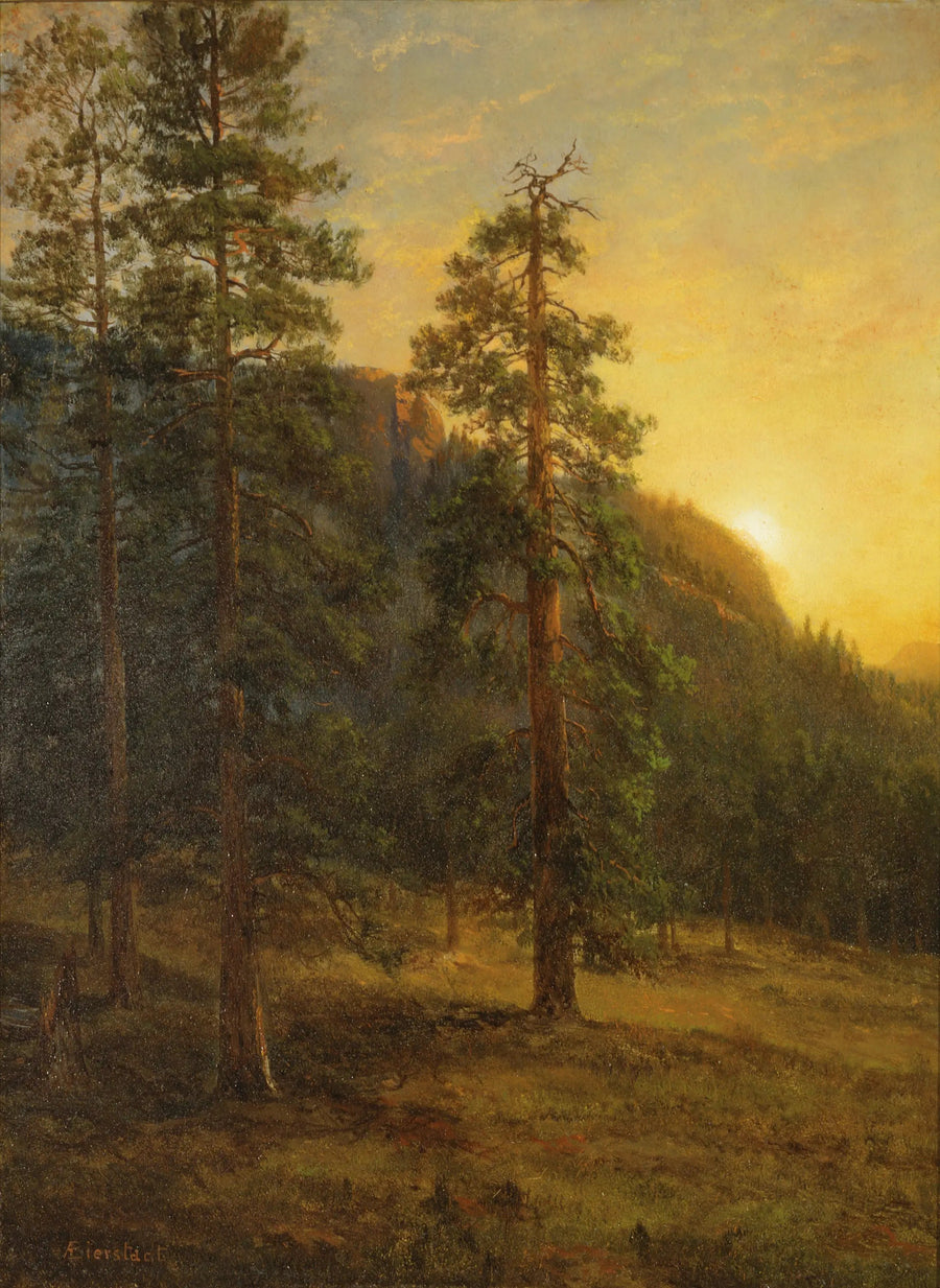 Sequoias de Californie - Albert Bierstadt