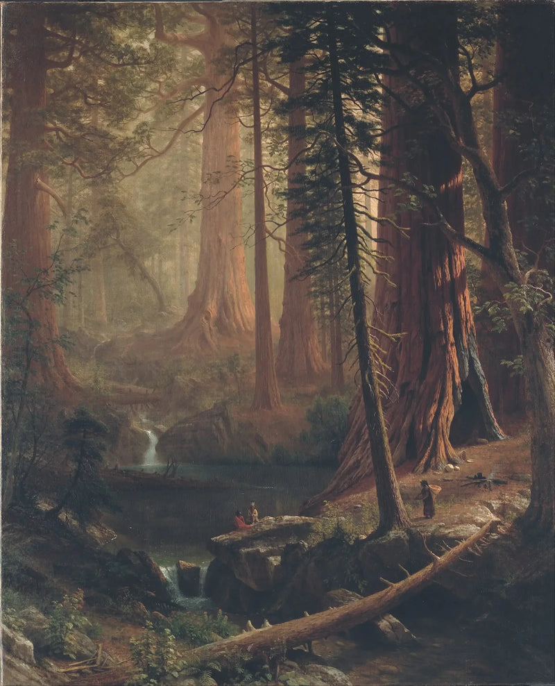 Riesige Sequoias in Kalifornien - Albert Bierstadt