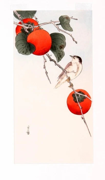 Oiseau et kakis — Yoshimoto Gessō