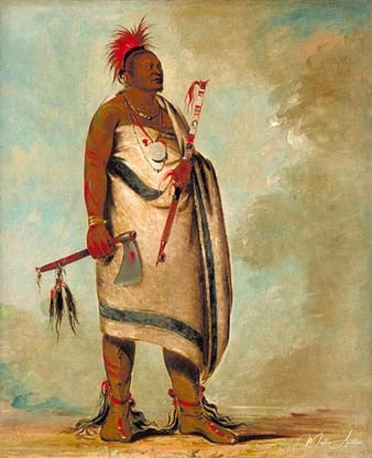 Shonka Sabe (Black Dog). Chief of the Hunkah division of the Osage tribe - George Catlin - Reproductions de tableaux et peintures haut de gamme