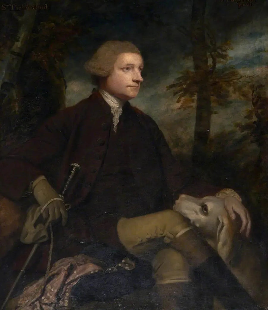 Sir Thomas Dyke Acland, 3. / 7. Baron Acland de Columb-John MP (1722-1785) - Joshua Reynolds