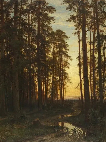 Soirée dans une forêt de pins - Ivan Chichkine image 1 tableau peint à l’huile sur toile