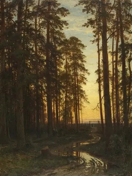Abend in einem Kiefernwald - Ivan Chichkine