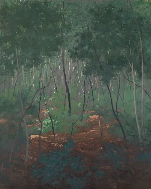 Unterholz, leichte Bäume - Félix Vallotton