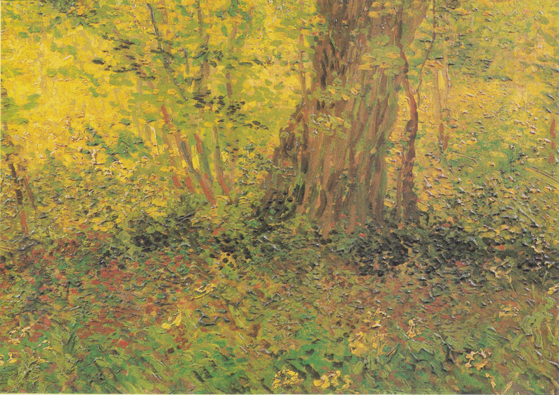 Unterholz - Vincent van Gogh