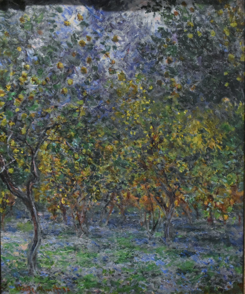 Unter den Zitronenbäumen W873 - Claude Monet