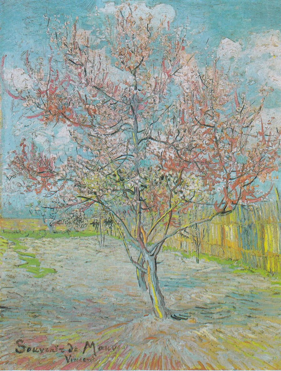 Souvenir von Mauve - Vincent van Gogh