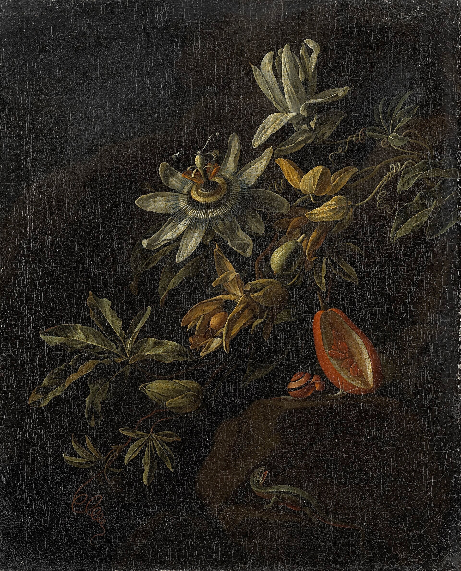 Nature morte aux fleurs et insectes - Elias van den Broeck