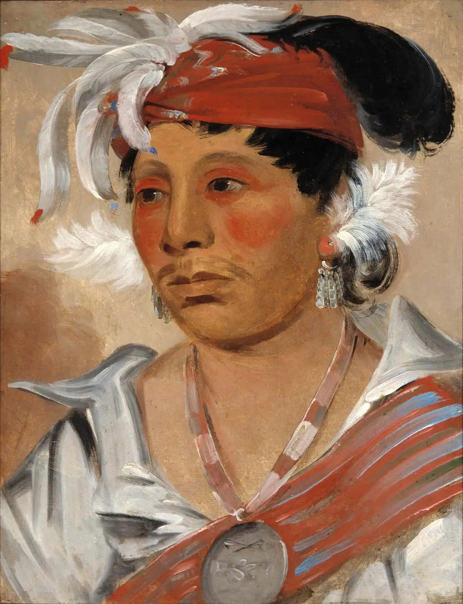 Ein berühmter Krieger - George Catlin