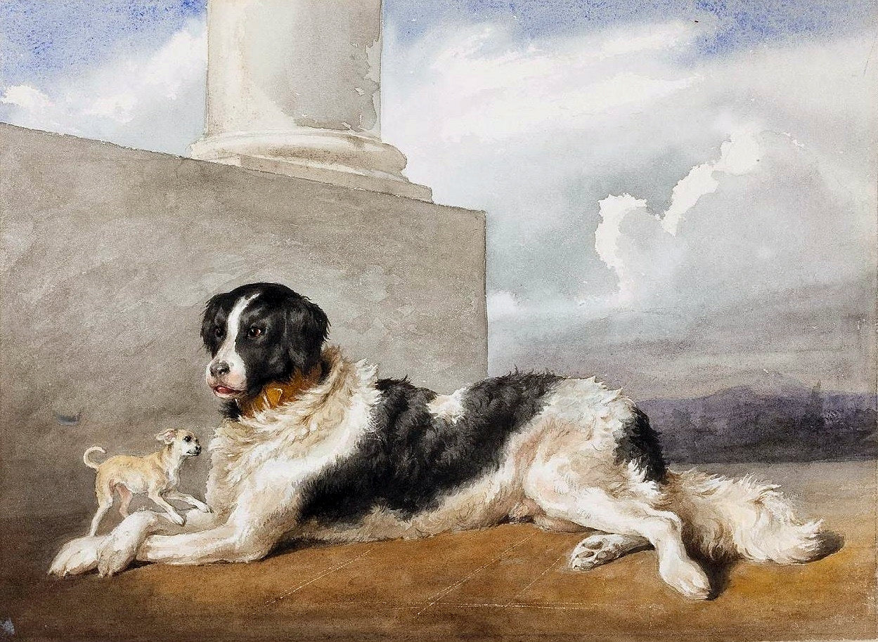 Sultan et Rosette - les chiens des Czartoryski - Rosa Bonheur - Alpha Reproduction