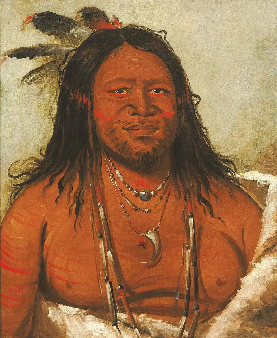 Ta-wáh-que-nah, Berg der Felsen, Zweiter Häuptling des Stammes - George Catlin