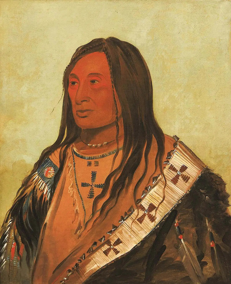 Táh-zee-keh-dá-cha, Ventre déchiré, un brave distingué - George Catlin