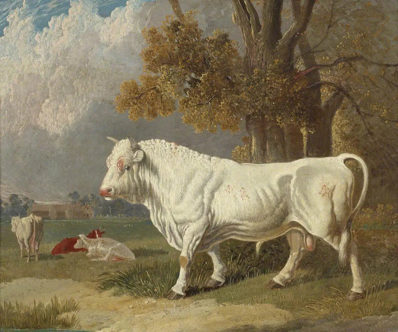 Weißer Stier, Fulbourn, Cambridgeshire, 1830 - John Frederick Herring, Sr.
