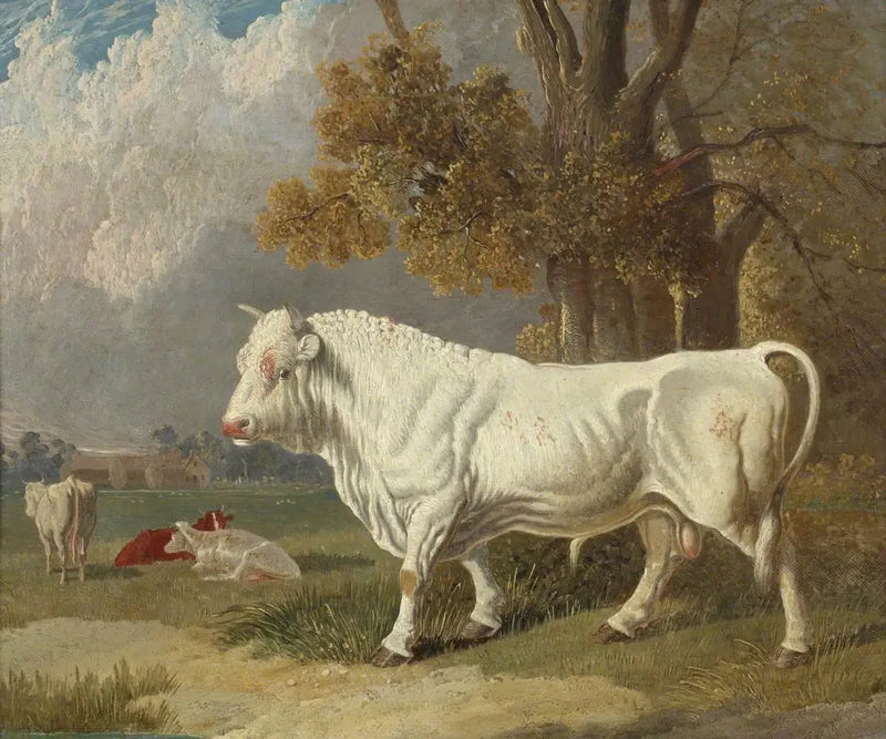 Weißer Stier, Fulbourn, Cambridgeshire, 1830 - John Frederick Herring, Sr.