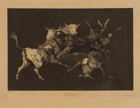 Stiere - Francisco de Goya