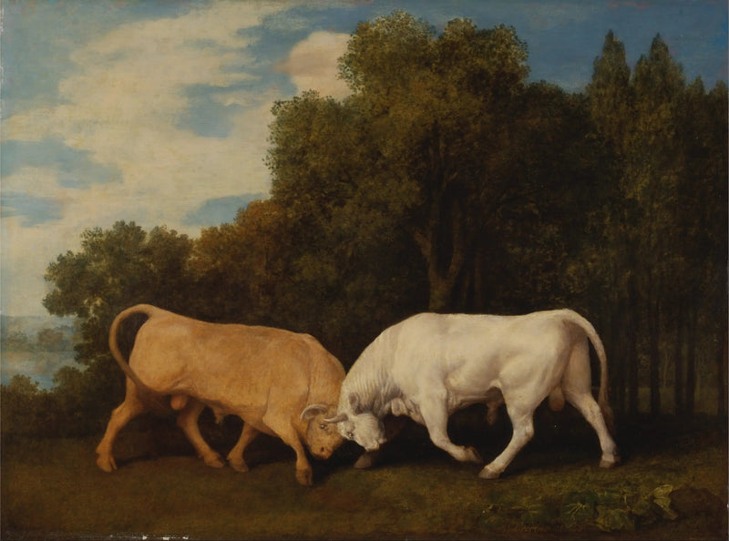 Stiere - George Stubbs