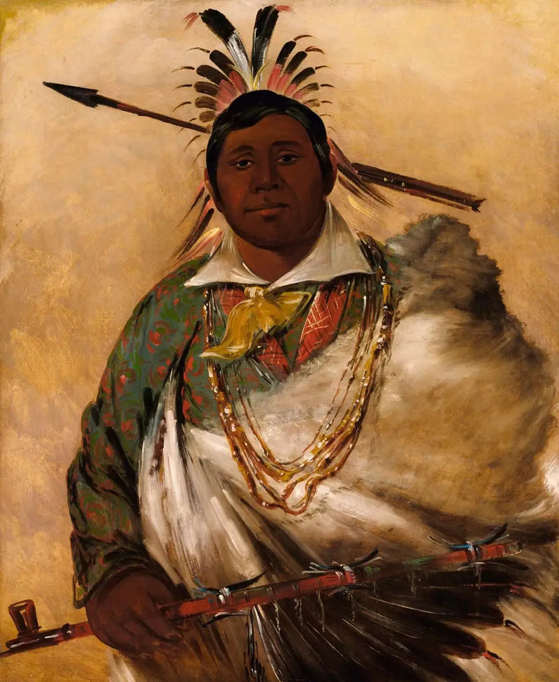 Téh-ke-néh-kee, schwarzer Mantel, ein Chef - George Catlin