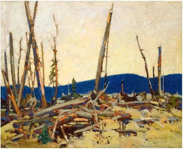 Verbrannte Erde - Tom Thomson