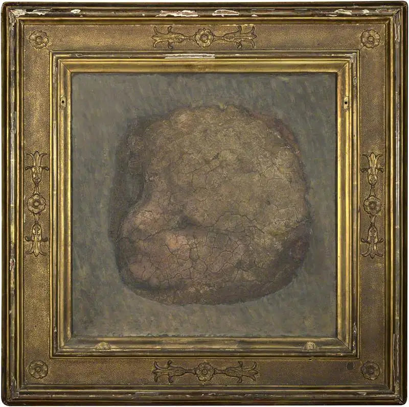 Engelskopf - Antonio da Correggio