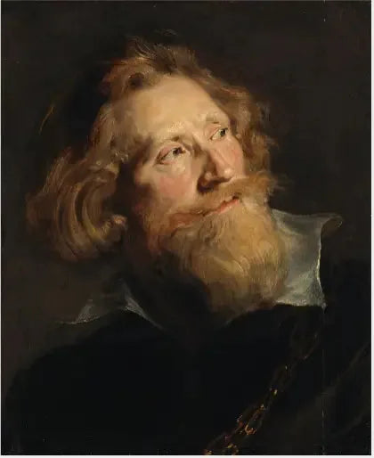 Kopf eines bärtigen Mannes - Peter Paul Rubens