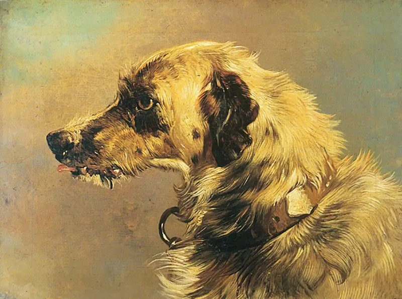 Kopf eines laufenden Hundes - Edwin Henry Landseer