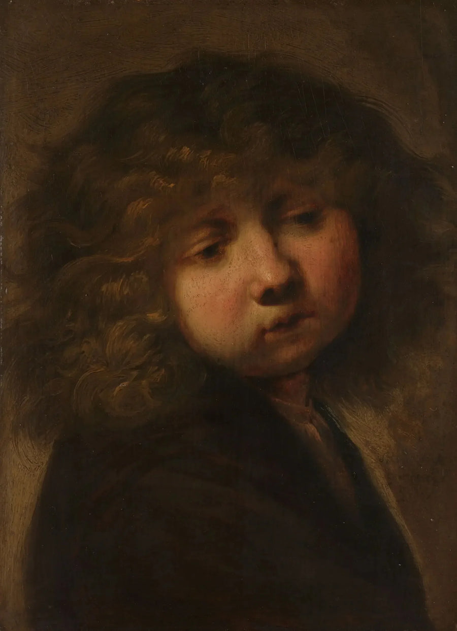 Kopf eines Jungen - Rembrandt