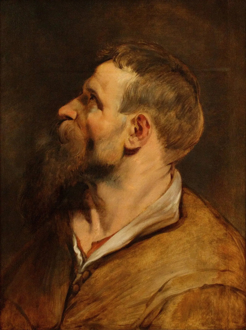 Kopf eines bärtigen Mannes, der nach links schaut - Peter Paul Rubens