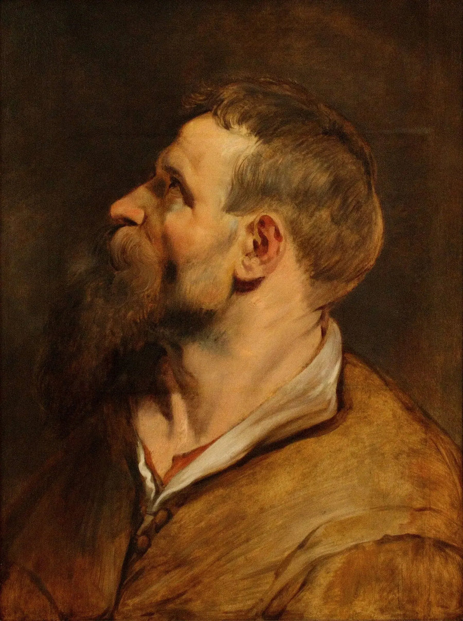 Kopf eines bärtigen Mannes, der nach links schaut - Peter Paul Rubens