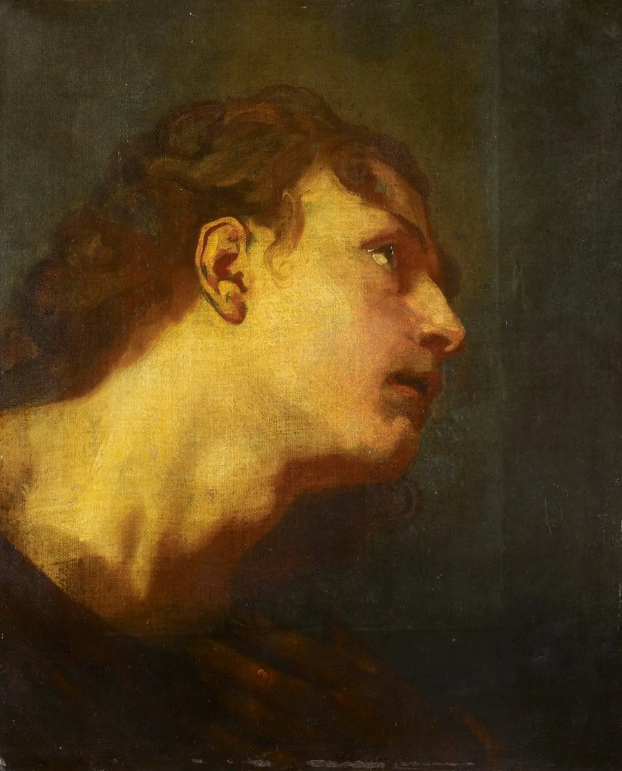 Kopf eines jungen Mannes - Antoine van Dyck