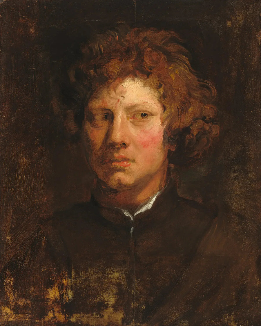 Kopf eines jungen Mannes - Antoine van Dyck