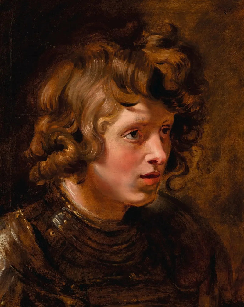Kopf eines jungen Mannes in Rüstung - Peter Paul Rubens