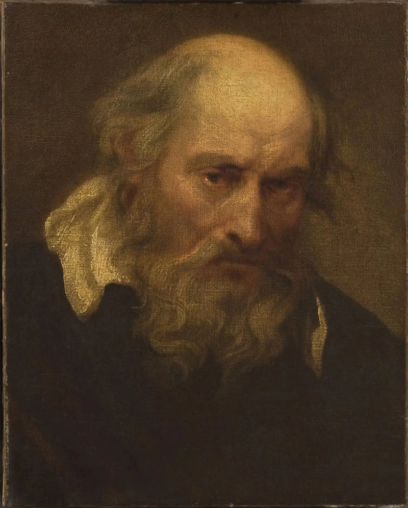 Kopf eines alten Mannes - Antoine van Dyck