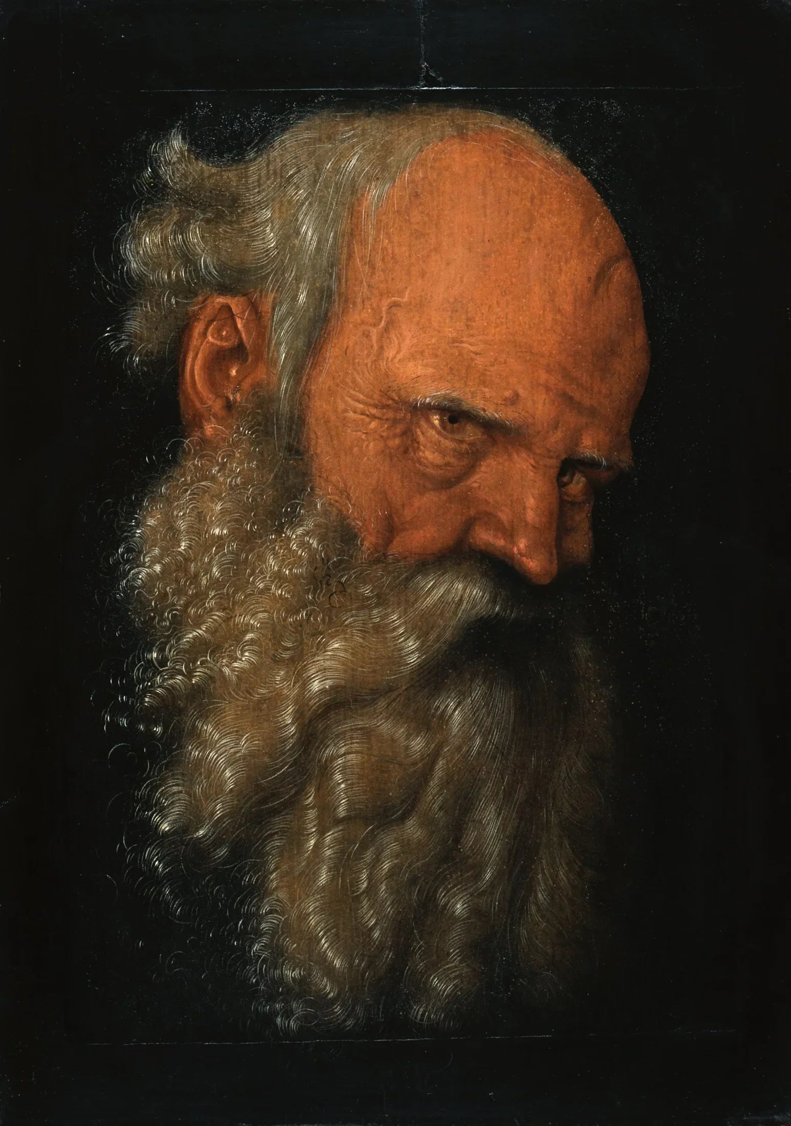 Tête d'un vieil homme barbu - Hans Baldung Grien image 1 tableau peint à l’huile sur toile