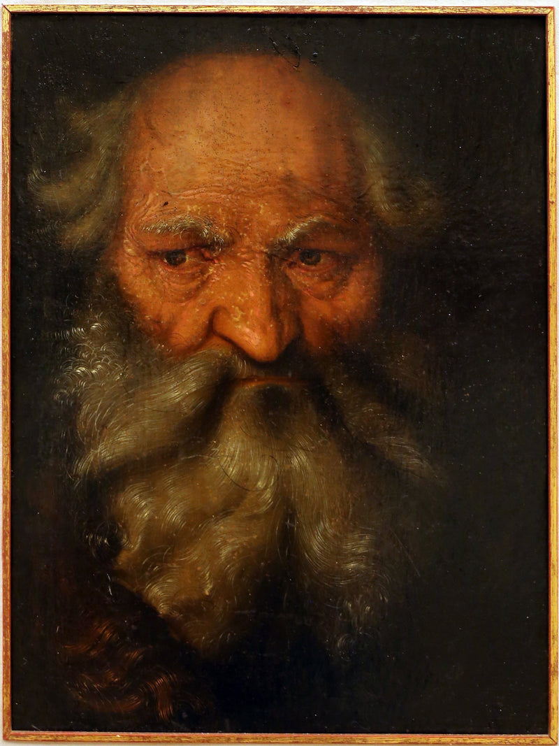 Kopf eines alten Mannes - Hans Baldung Grien