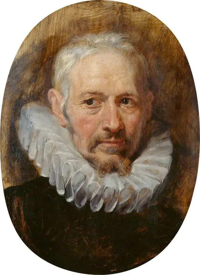 Kopf eines alten Mannes - Peter Paul Rubens