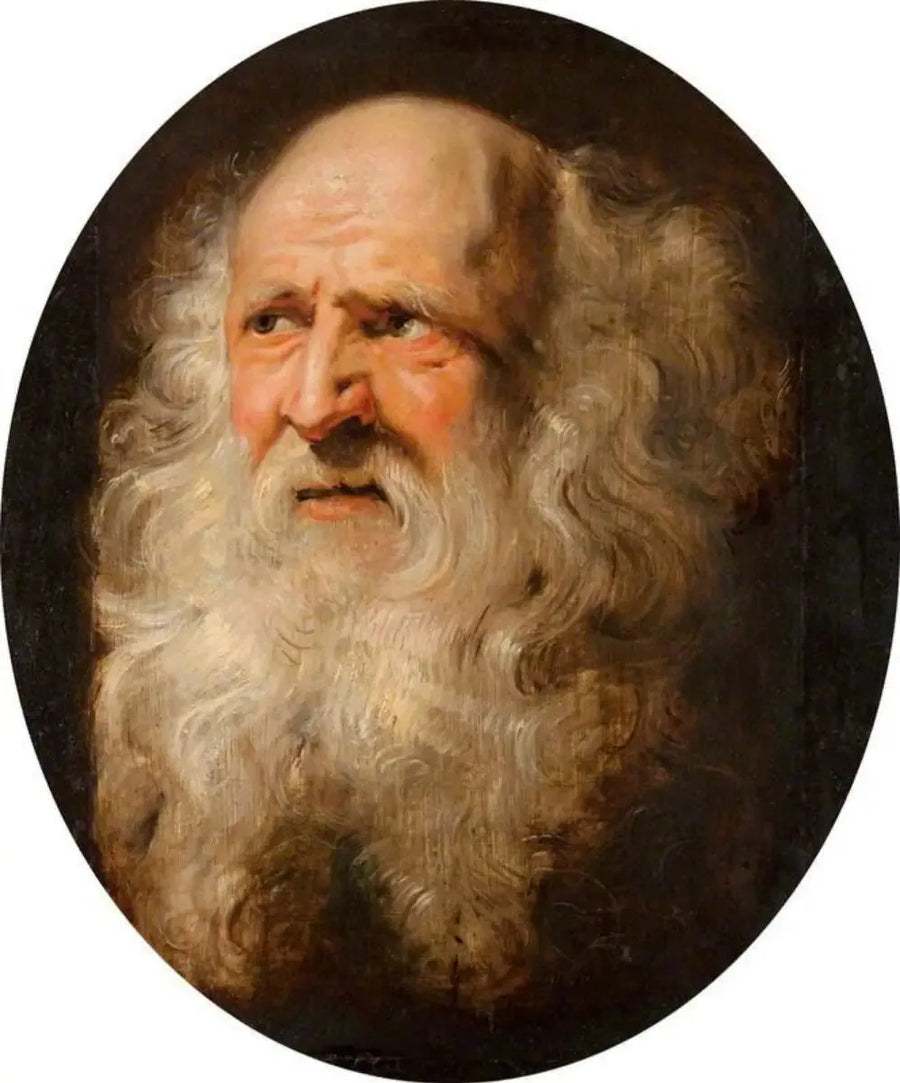 Kopf eines alten Mannes - Peter Paul Rubens