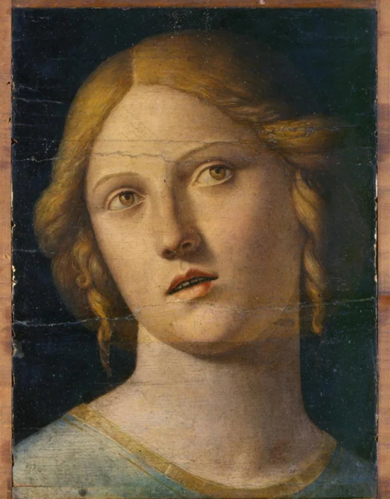 Kopf einer Heiligen - Cima da Conegliano