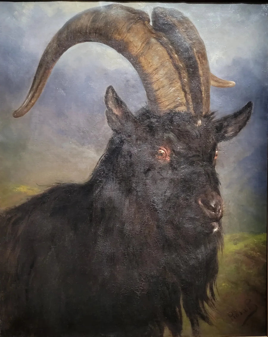 Ziegenkopf - Rosa Bonheur