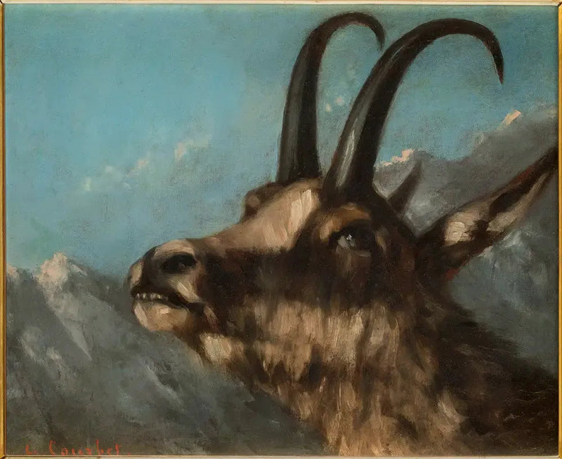 Kopf eines Steinbocks - Gustave Courbet