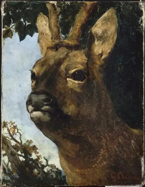 Kopf eines Rehbocks - Gustave Courbet