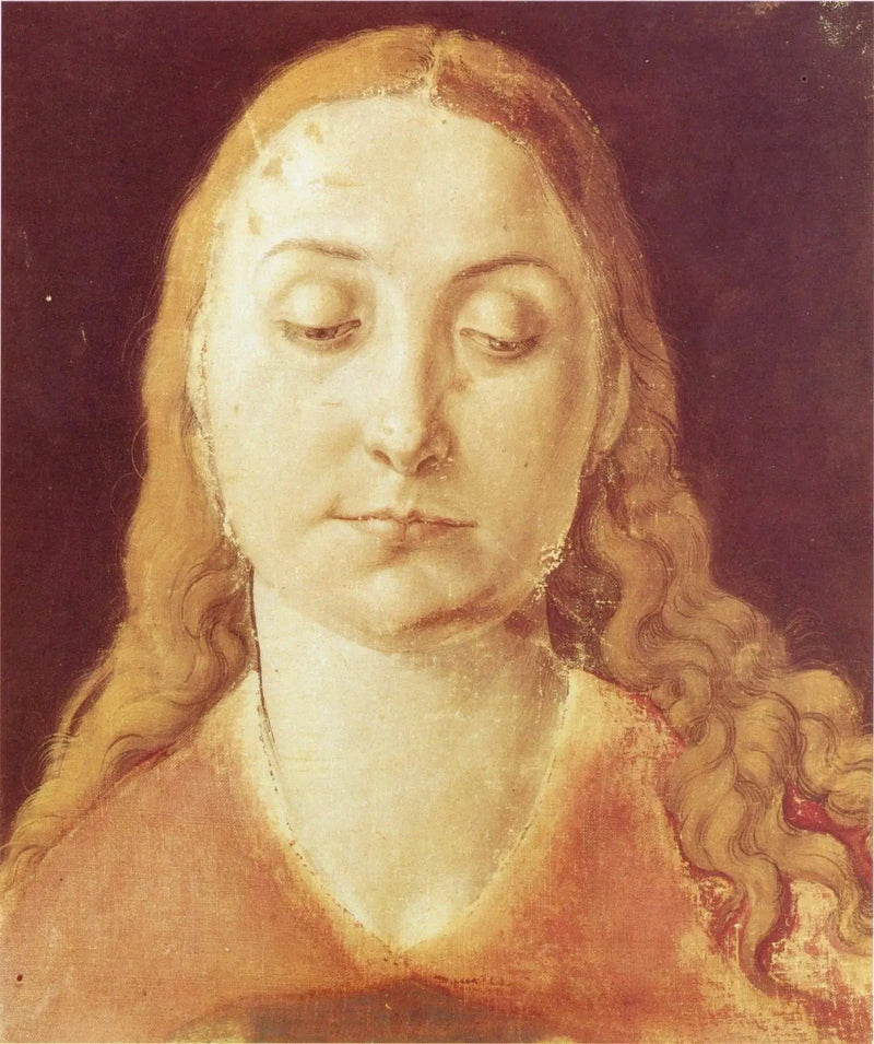 Frauenkopf - Albrecht Dürer