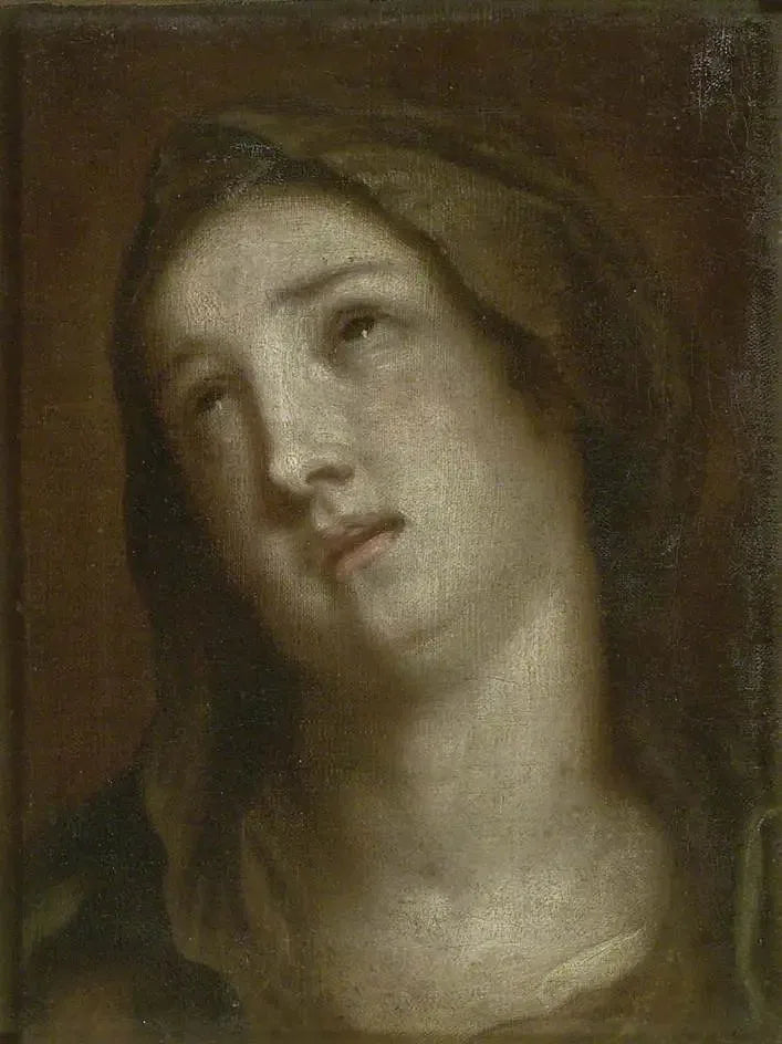 Kopf der trauernden Jungfrau - Antoine van Dyck