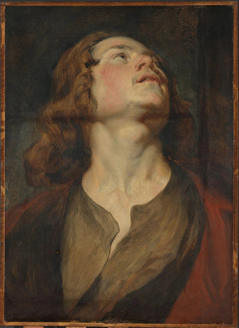 Kopf des Johannes - Antoine van Dyck