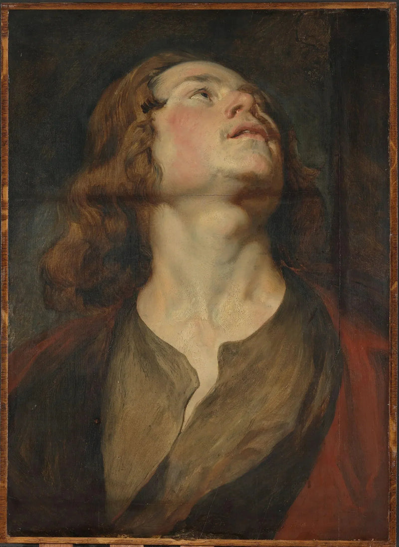 Kopf des Johannes - Antoine van Dyck
