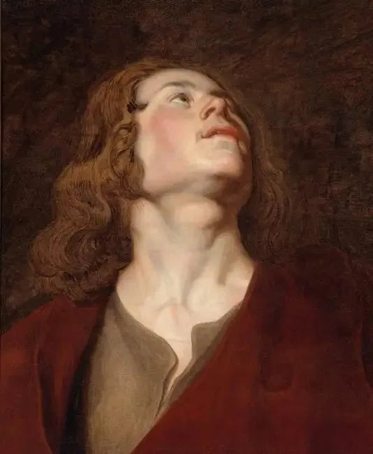 Kopf des Heiligen Johannes - Peter Paul Rubens