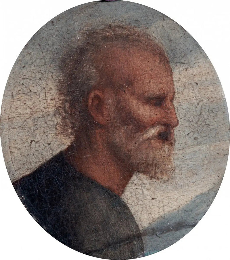 Kopf des Heiligen Petrus - Raffael Sanzio