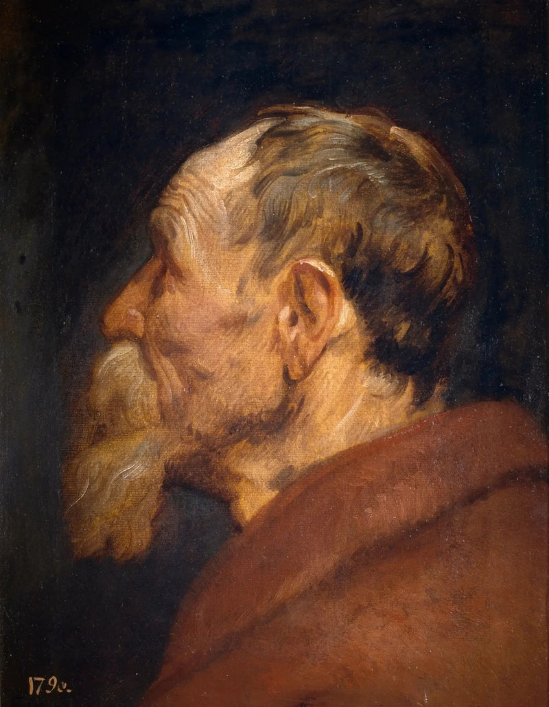 Kopf eines alten Mannes - Antoine van Dyck
