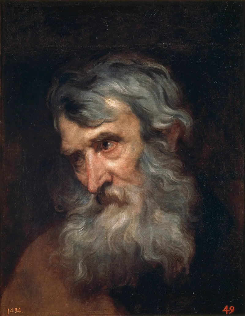 Kopf eines alten Mannes - Antoine van Dyck