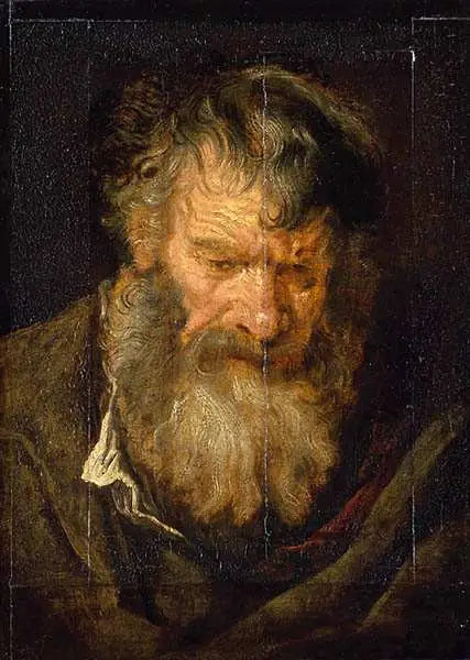 Kopf eines alten Mannes - Antoine van Dyck