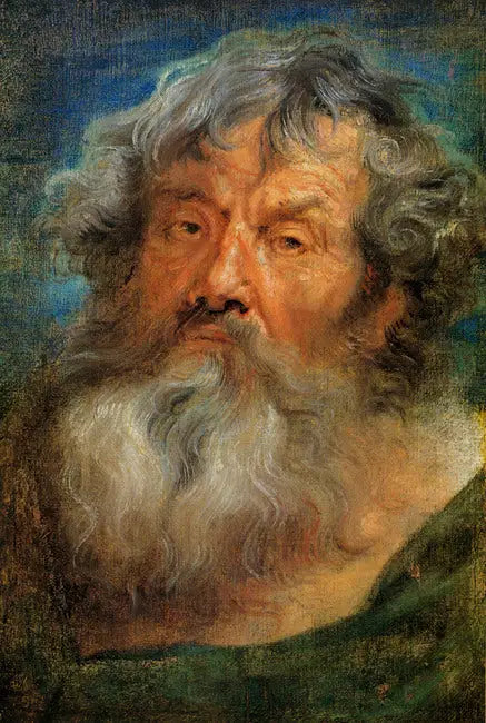 Kopf eines alten Mannes - Antoine van Dyck
